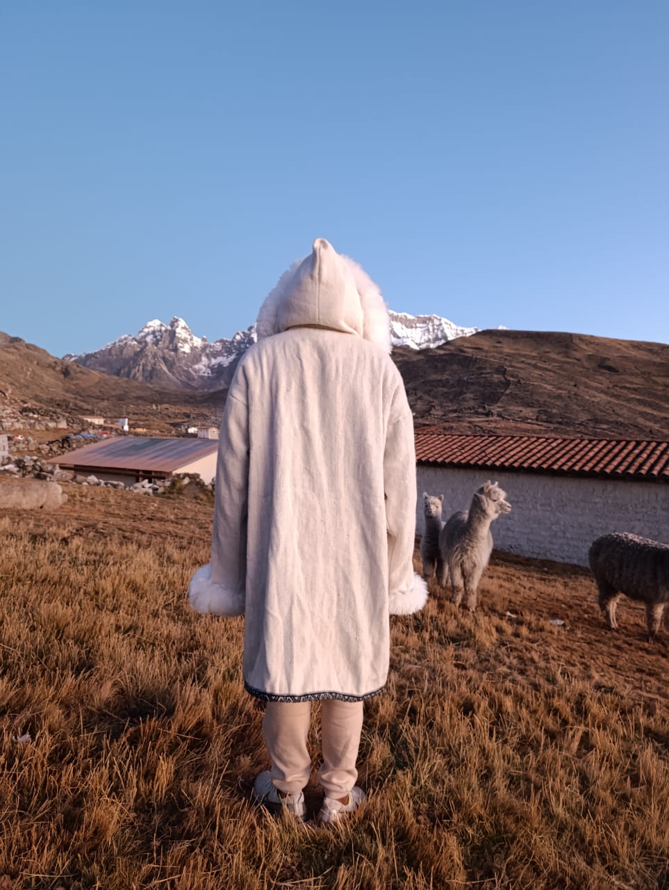 Long Sleeve Pacchanta Poncho